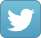 twitter logo